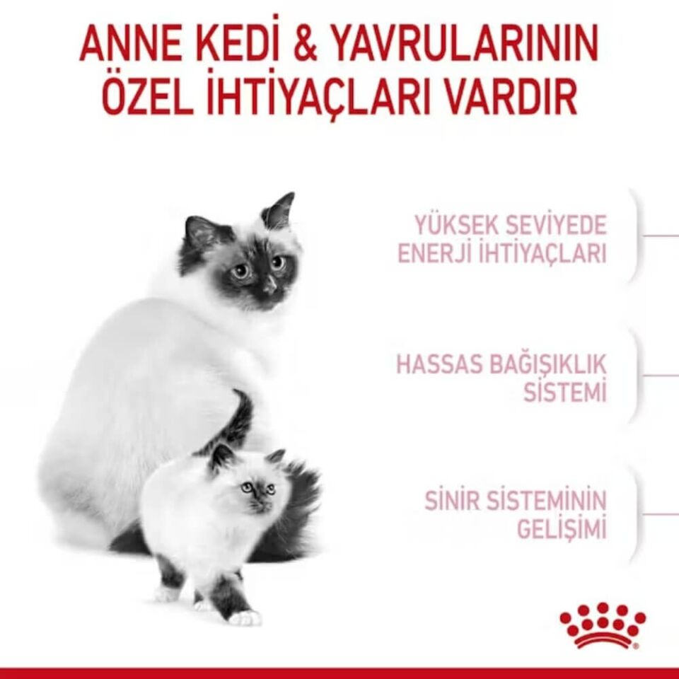 Royal Canin Mother&Babycat Yavru Kedi Maması 4kg