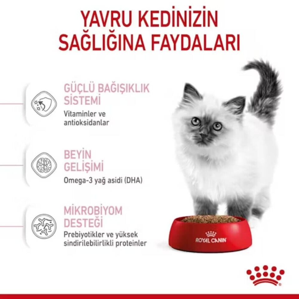 Royal Canin Kitten 36 Yavru Kedi Maması 10kg