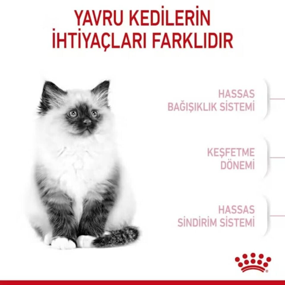 Royal Canin Kitten 36 Yavru Kedi Maması 10kg