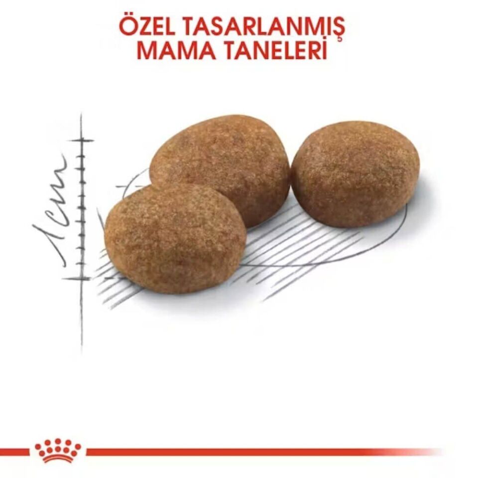 Royal Canin Sterilised 37 Kısırlaştırılmış Kedi Maması 10kg
