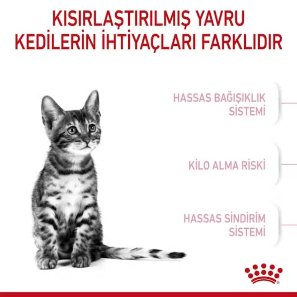 Royal Canin Kitten 36 Yavru Kedi Maması 2kg