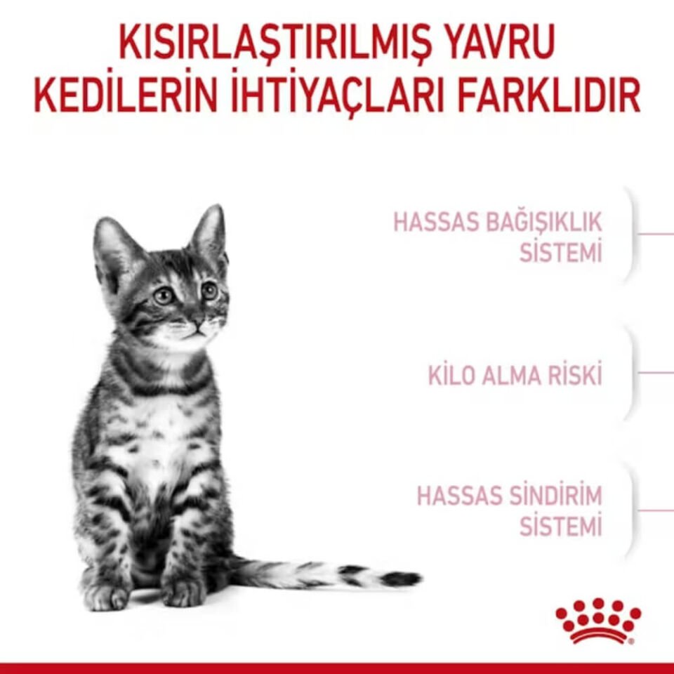 Royal Canin Kitten 36 Yavru Kedi Maması 2kg
