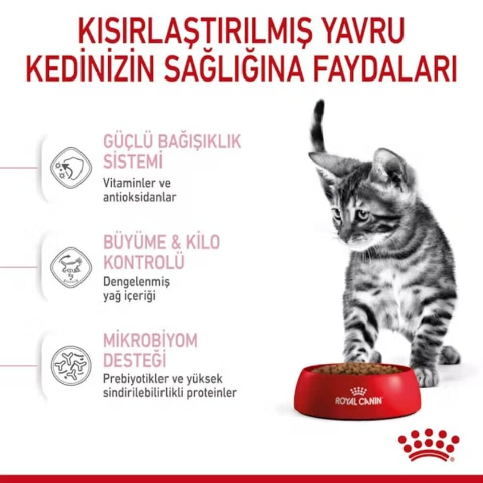 Royal Canin Kitten 36 Yavru Kedi Maması 2kg