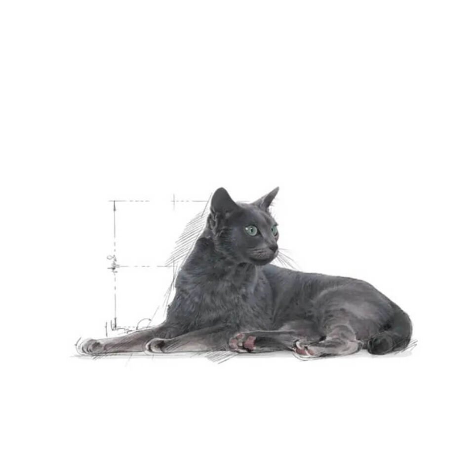 Royal Canin Sterilised 7+ Kısırlaştırılmış Yaşlı Kedi Maması 1,5kg