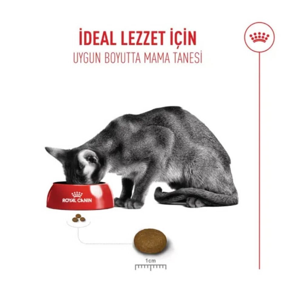 Royal Canin Fussy Exigent Seçici Kedilere Özel Kedi Maması 2kg