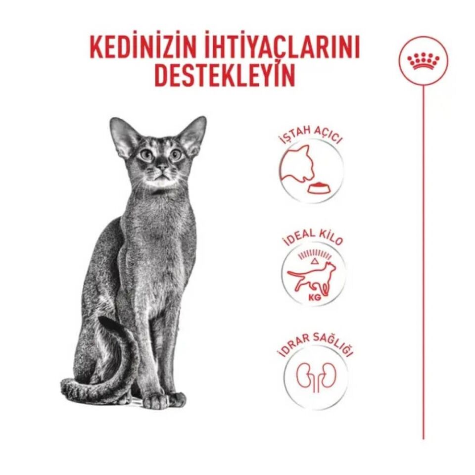 Royal Canin Fussy Exigent Seçici Kedilere Özel Kedi Maması 4kg