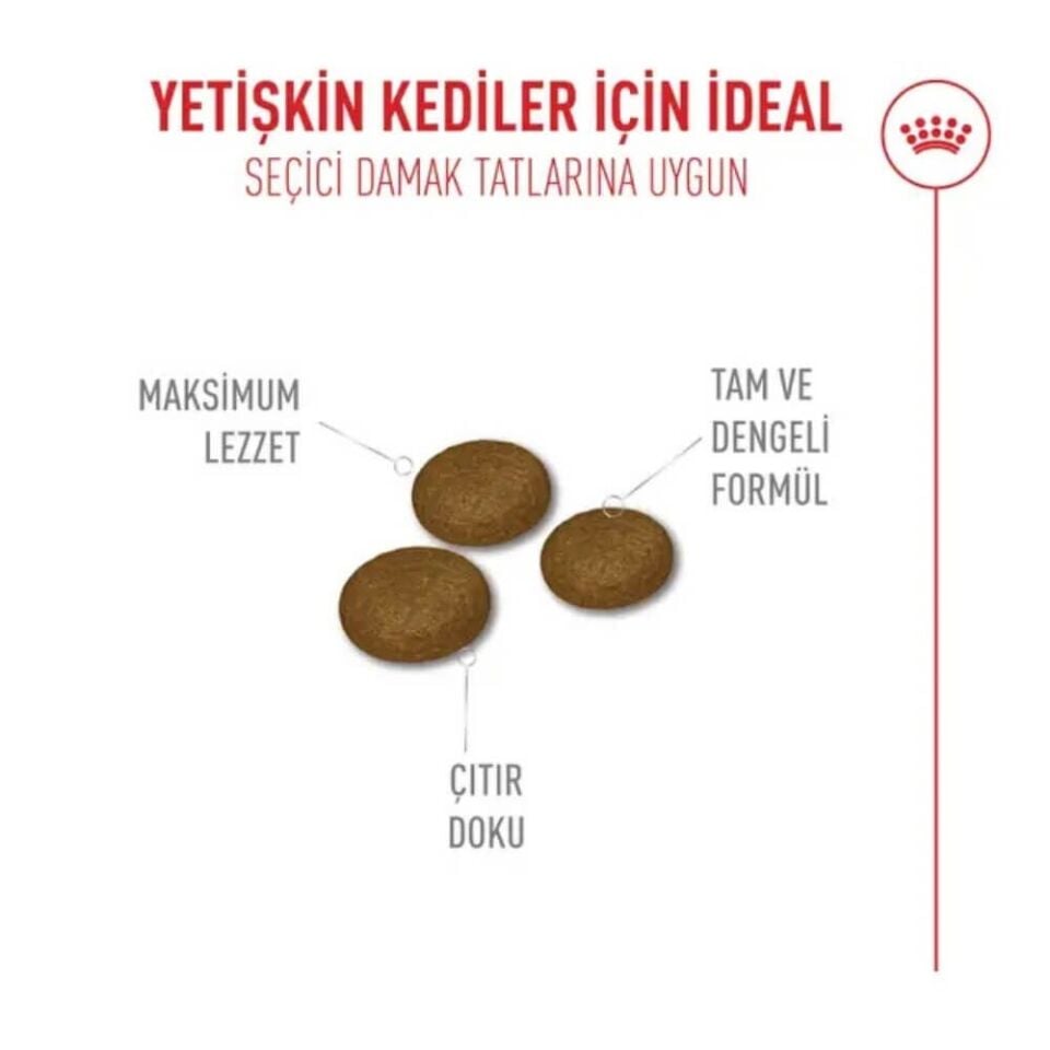 Royal Canin Fussy Exigent Seçici Kedilere Özel Kedi Maması 4kg