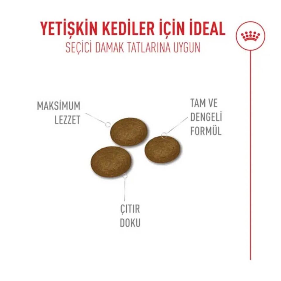 Royal Canin Fussy Exigent Seçici Kedilere Özel Kedi Maması 4kg