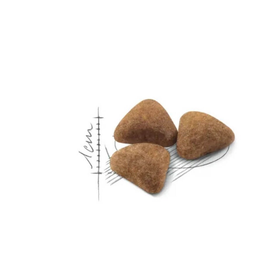 Royal Canin Indoor 27 Ev Kedileri için Yetişkin Kedi Maması 2kg