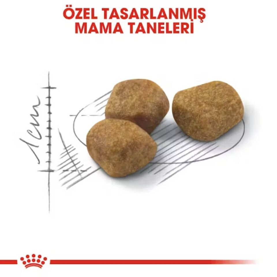Royal Canin Indoor 7+ Ev Kedileri İçin Yaşlı Kedi Maması 1,5kg