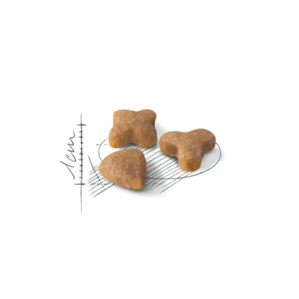 Royal Canin Sensible 33 Hassas Sindirim Sistemli Kediler İçin Yetişkin Kedi Maması 4kg