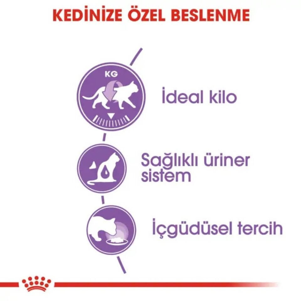 Royal Canin Jöle İçinde Kısırlaştırılmış Yetişkin Kedi Konservesi 85gr