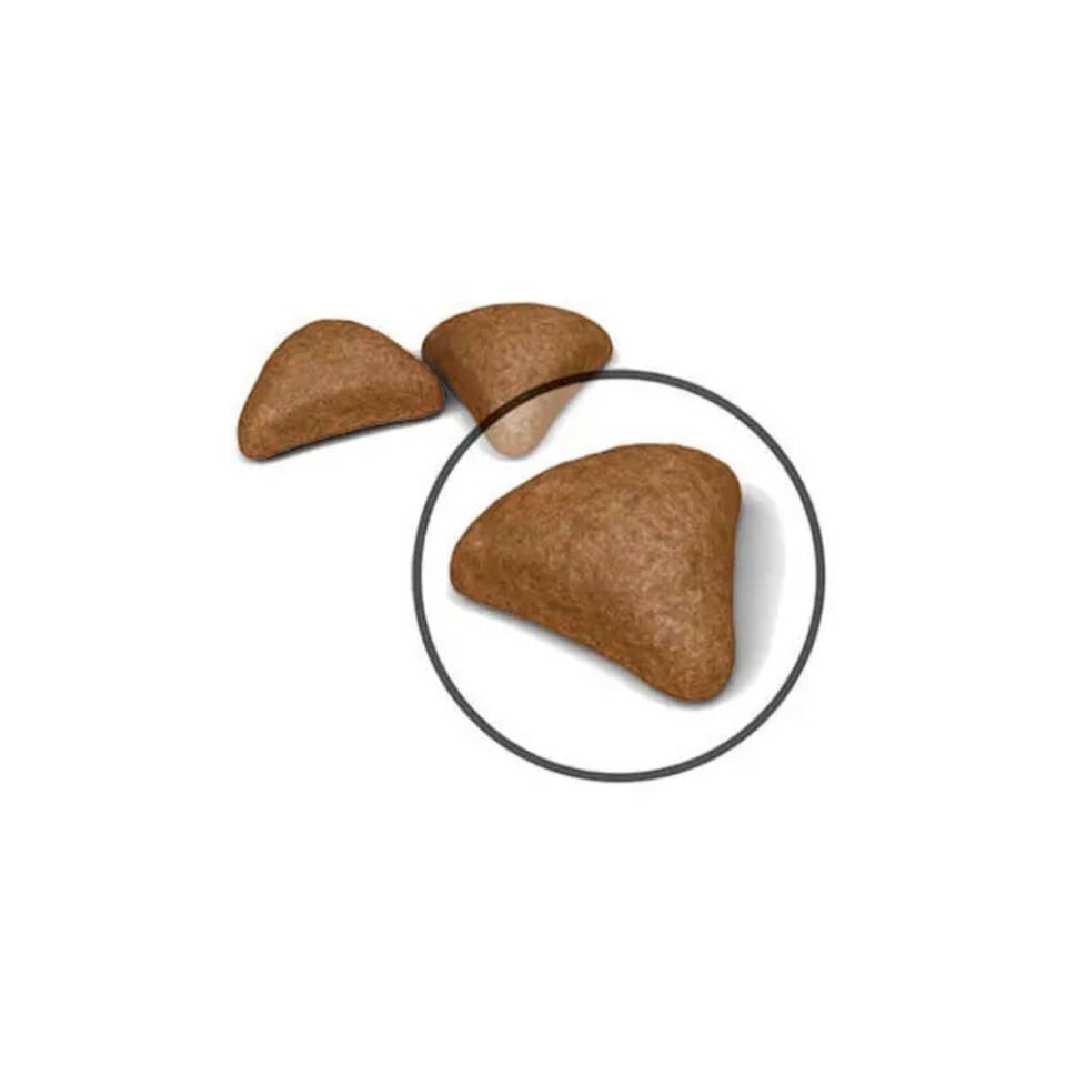 Royal Canin Hairball Tüy Yumağı Önleyici Yetişkin Kedi Maması 2kg