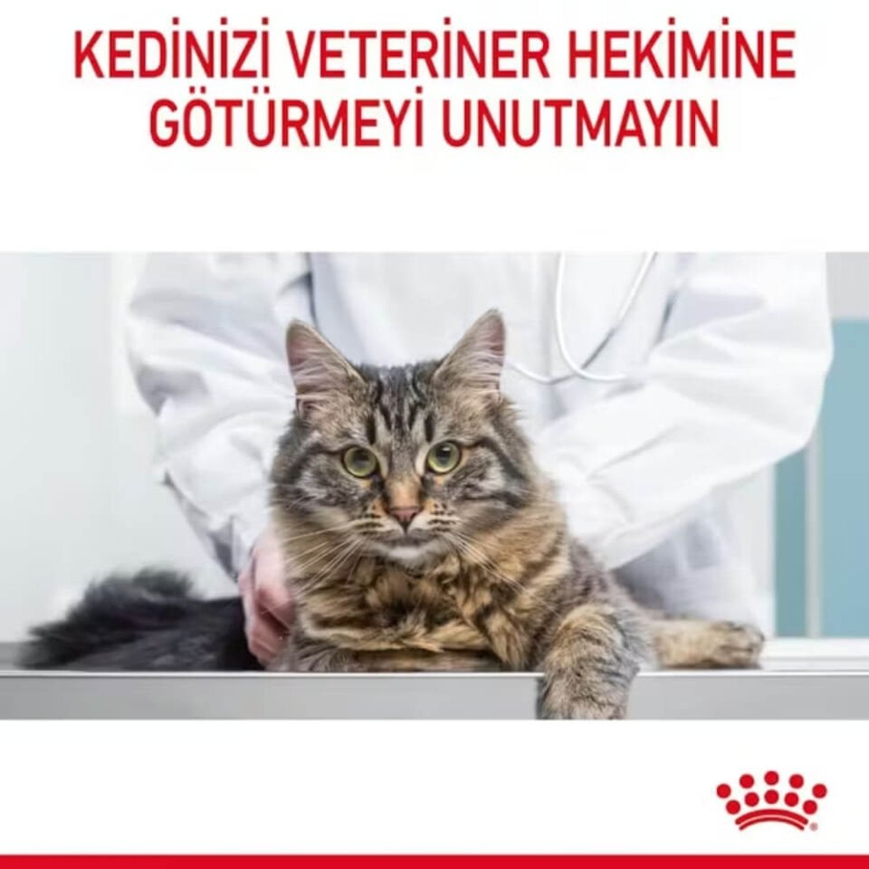 Royal Canin Hairball Tüy Yumağı Önleyici Yetişkin Kedi Maması 2kg
