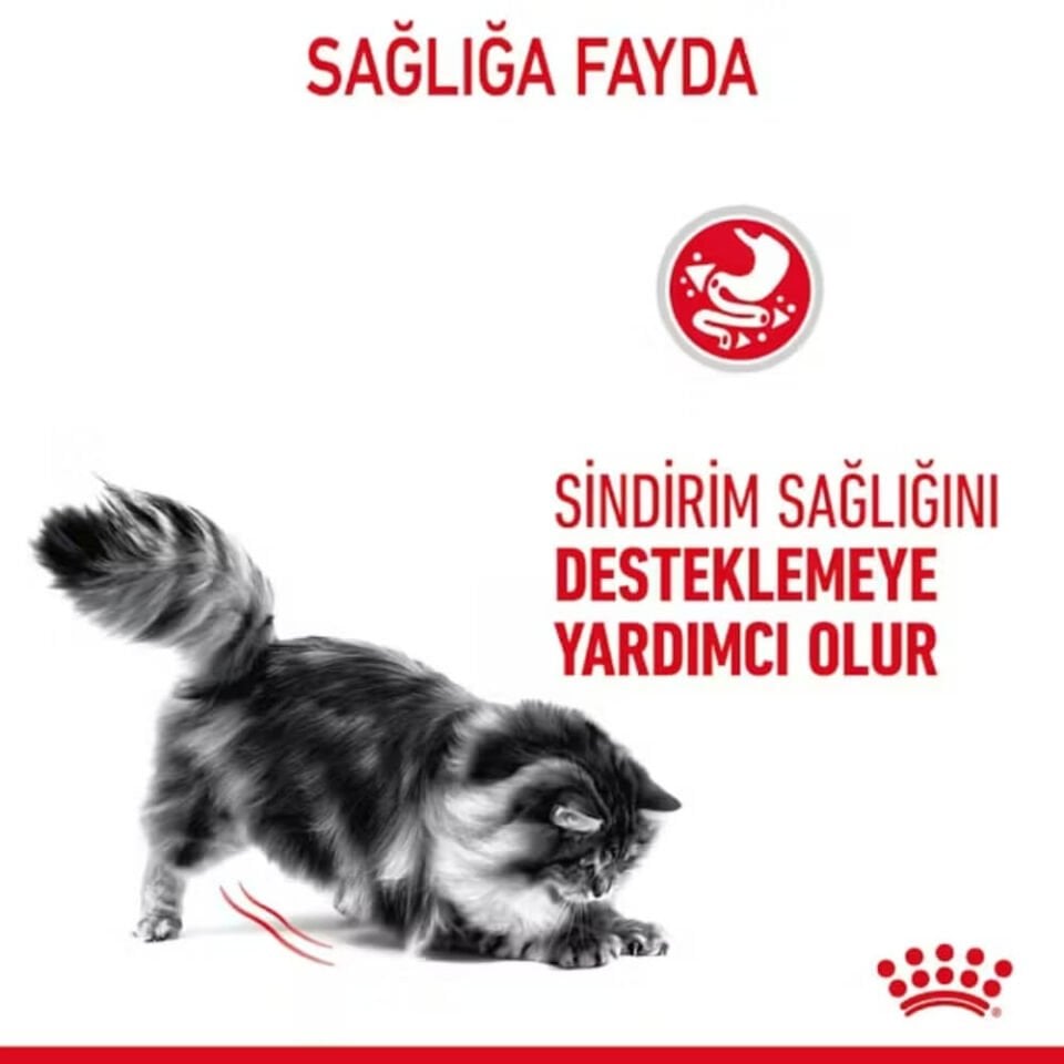 Royal Canin Digest Sensitive Sos İçinde Yetişkin Kedi Konservesi 85gr
