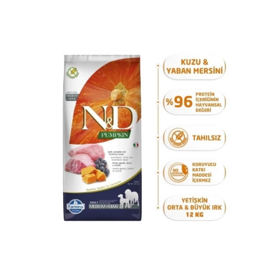 N&D Pumpkin Bal Kabaklı Kuzulu Yaban Mersinli Orta ve Büyük Irk Tahılsız Yetişkin Köpek Maması 12kg