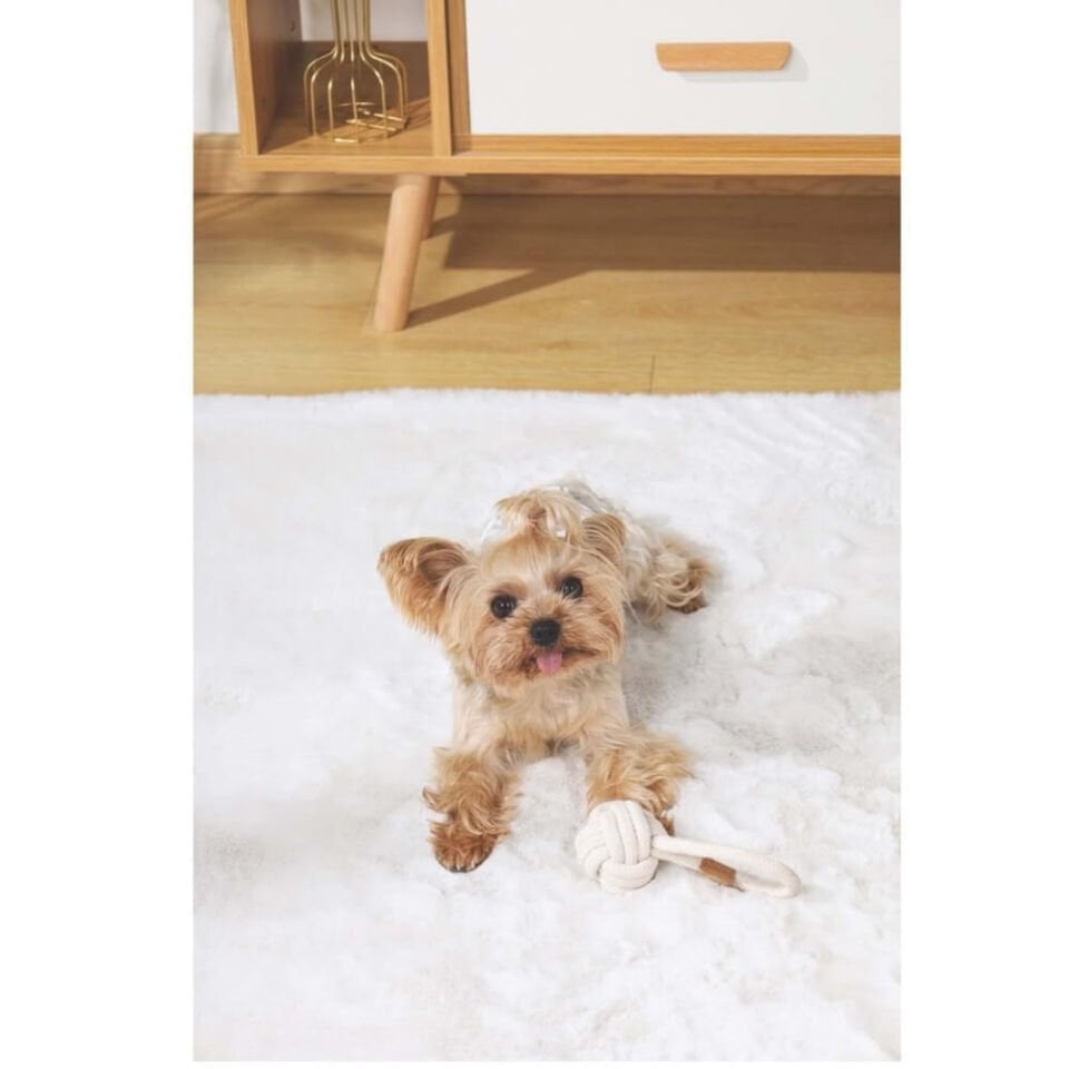 M-Pets Örgü Top Köpek Oyuncağı 6,5cm (Beyaz)