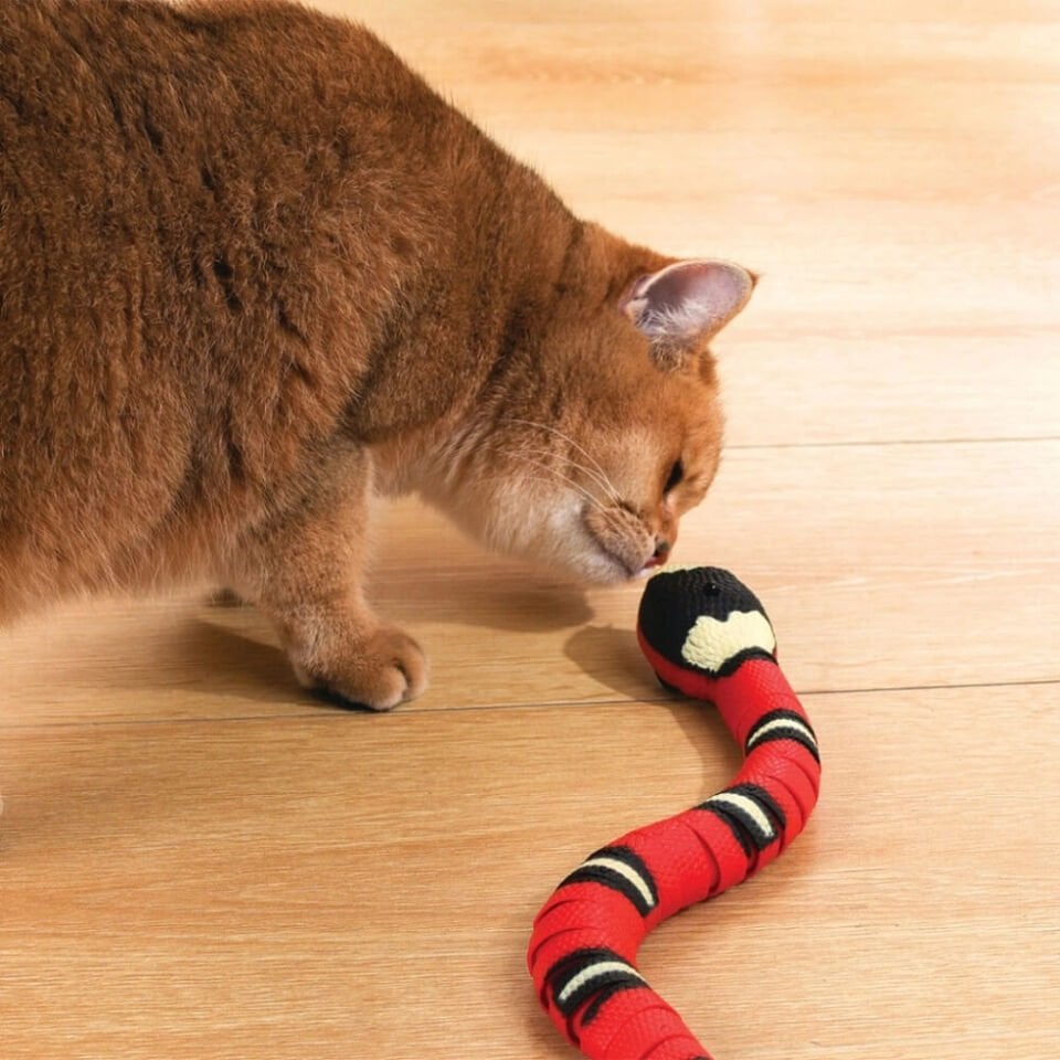 M-Pets Hareketli Yılan Kedi Oyuncağı 40x4x3,5cm