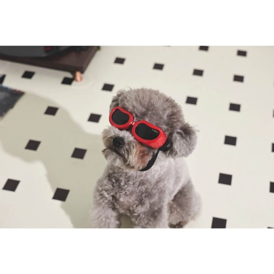 M-Pets Sunny Daytrip Köpek Gözlüğü 15,2x4,9cm (Kırmızı)