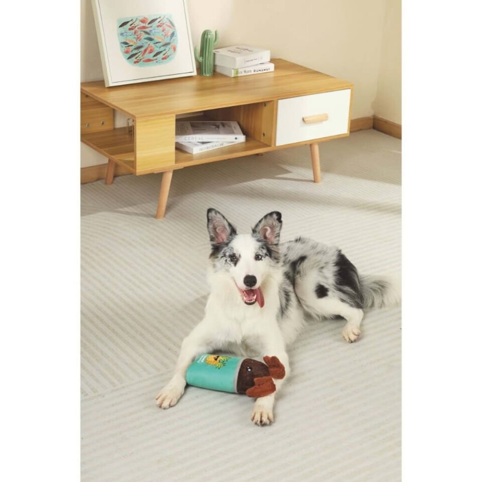 M-Pets Angel Ödül Hazneli Köpek Oyuncağı 12x5x23,5cm