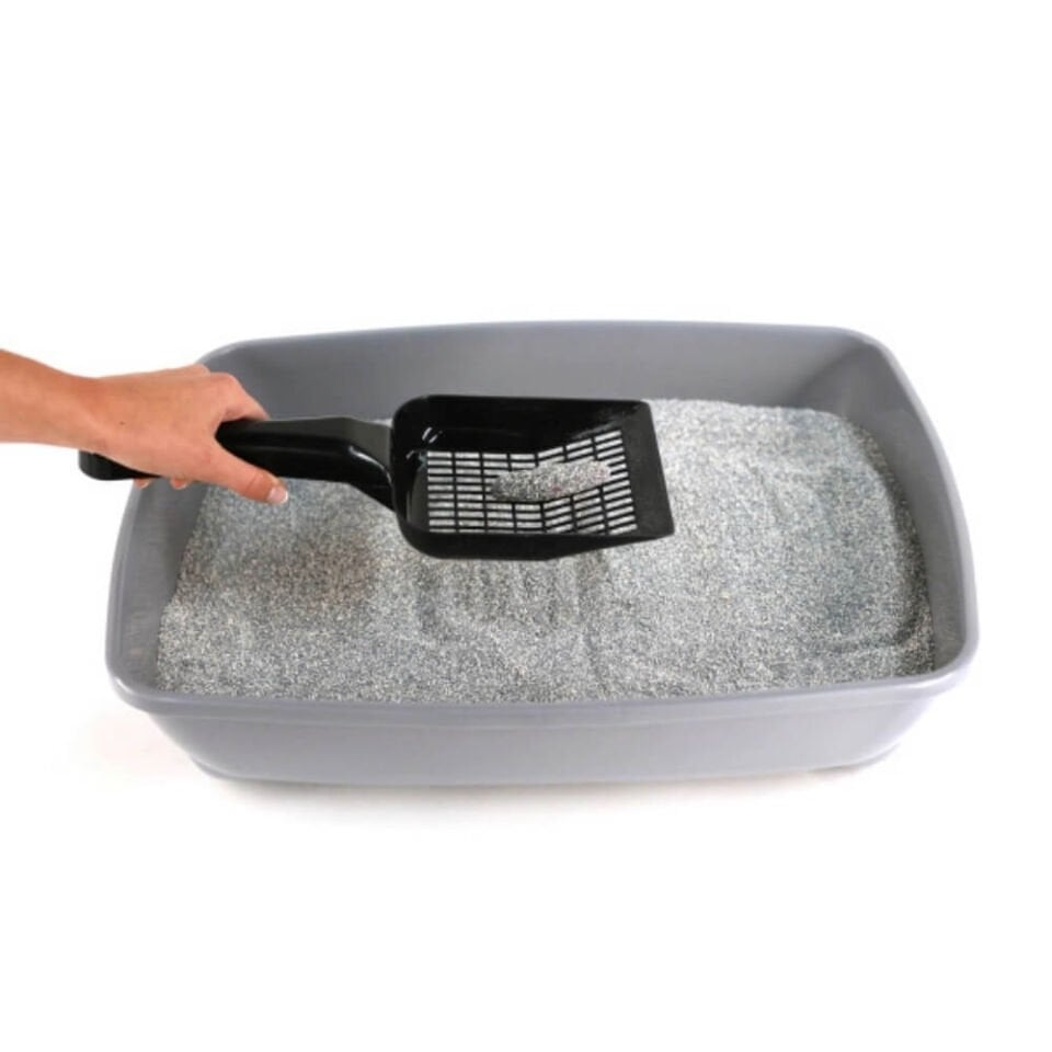 Ever Clean Total Cover Koku Önleyici Kedi Kumu 10lt