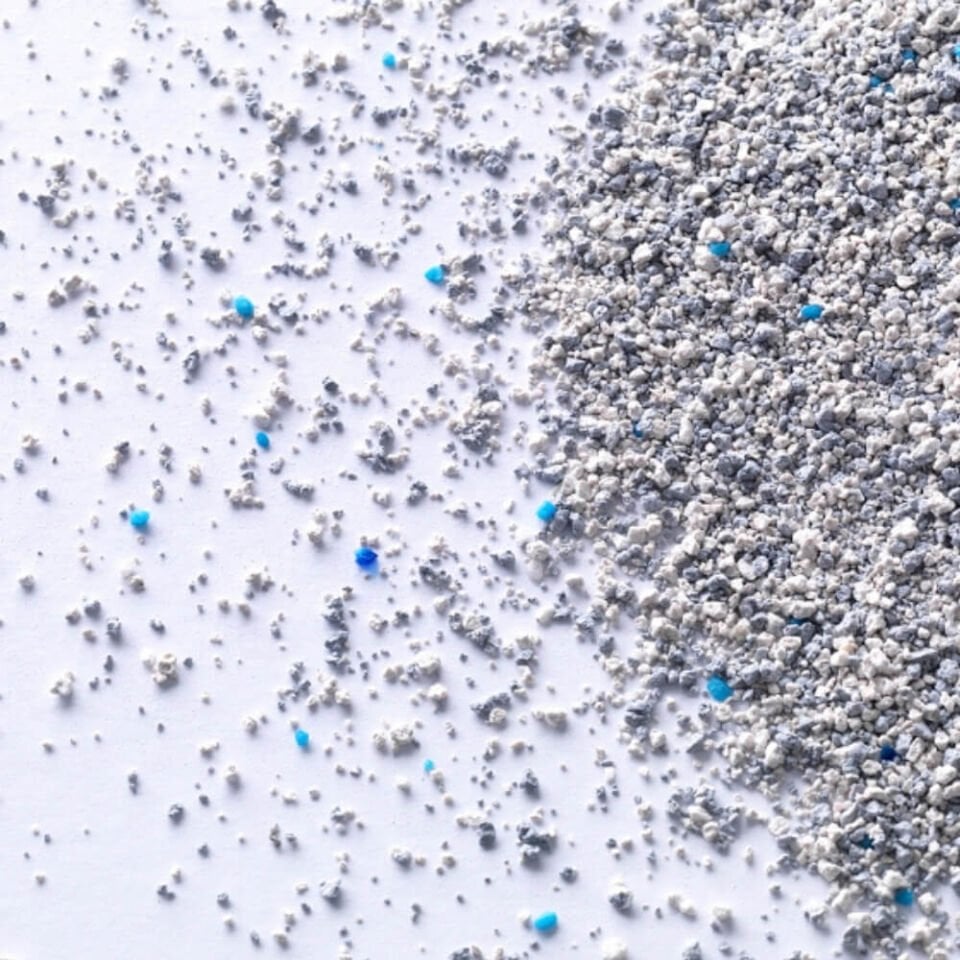 Ever Clean Fast Acting Doğal Bitki Özlü Hızlı Topaklanan Kedi Kumu 10lt