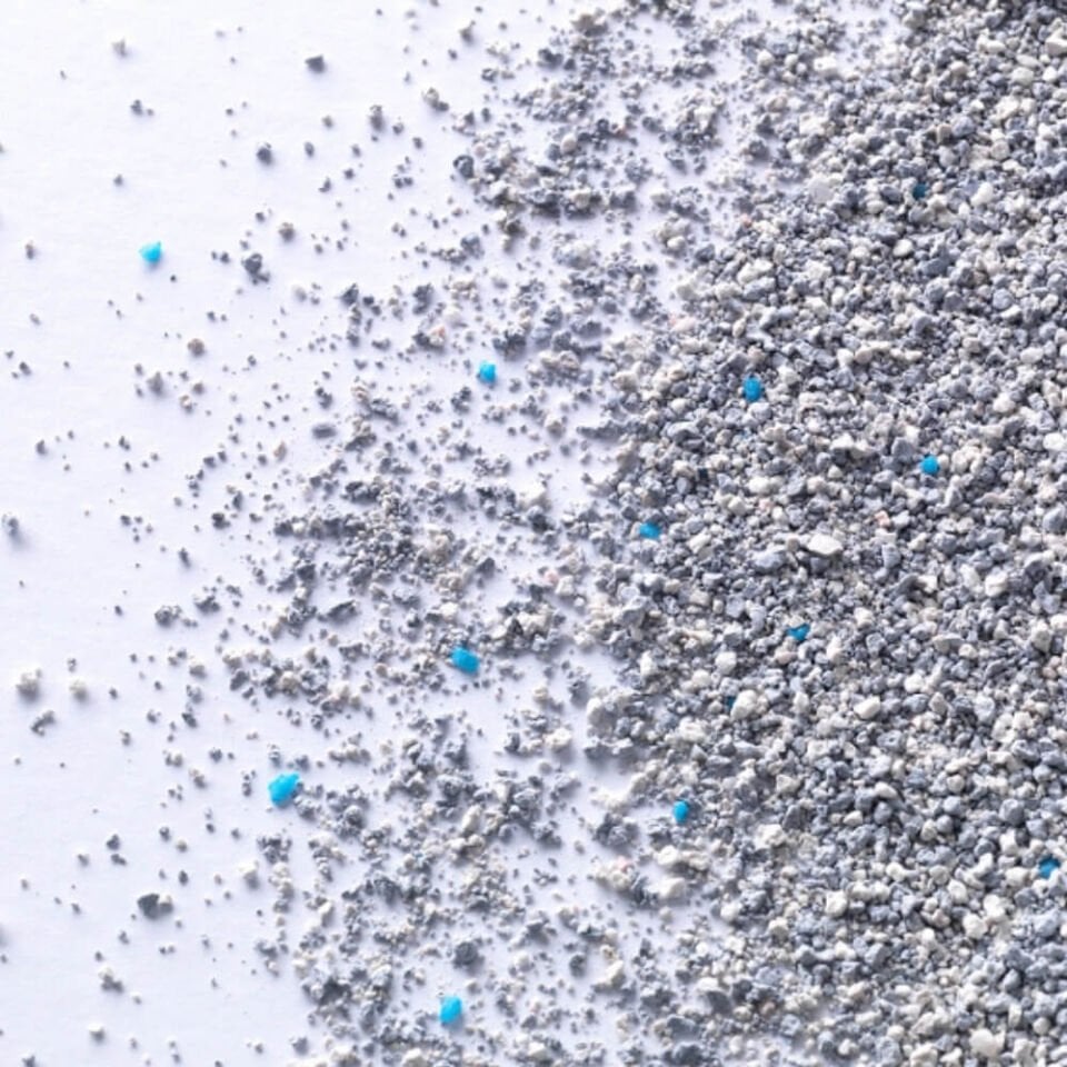 Ever Clean Extra Strength Ekstra Güçlü Kokulu Topaklanan Kedi Kumu 10lt