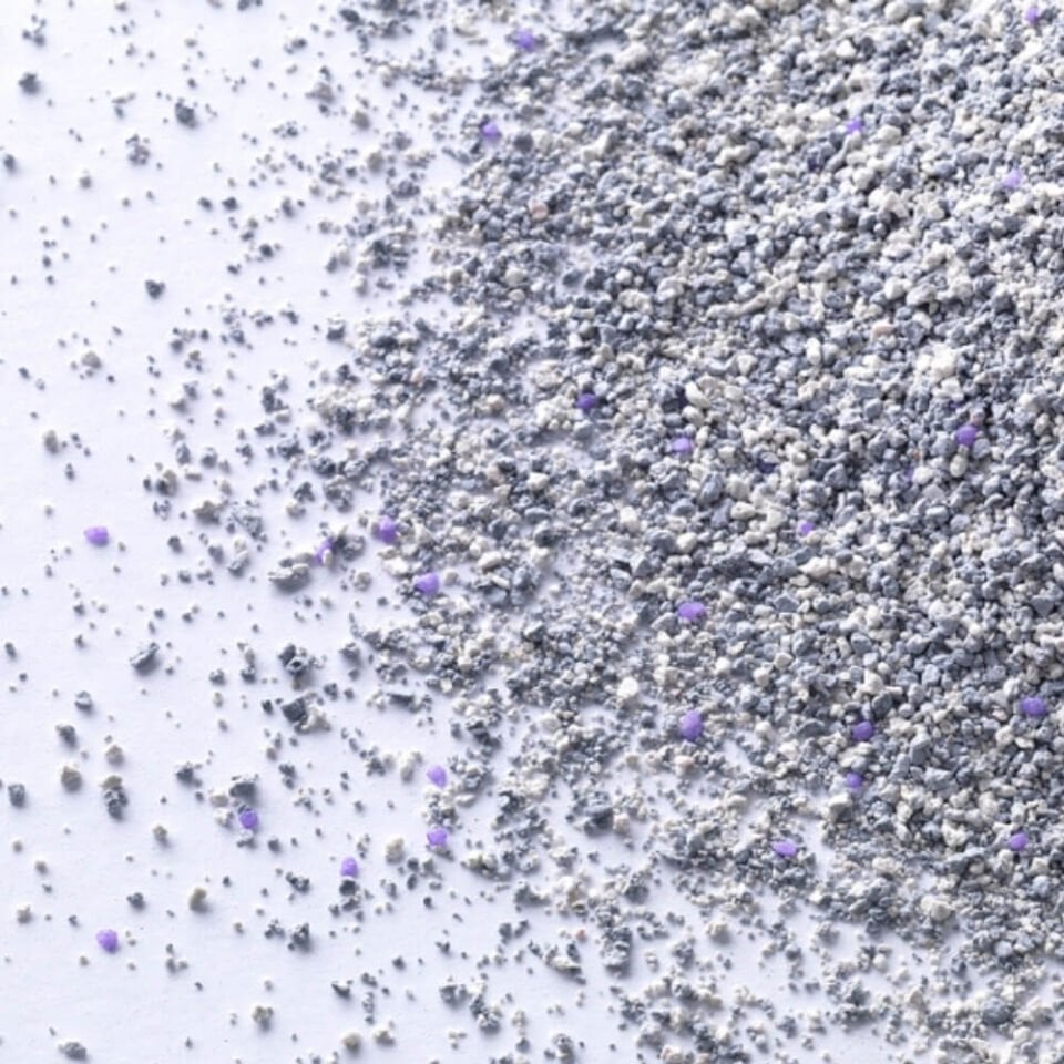 Ever Clean Lavender Lavanta Kokulu Kedi Kumu 10lt