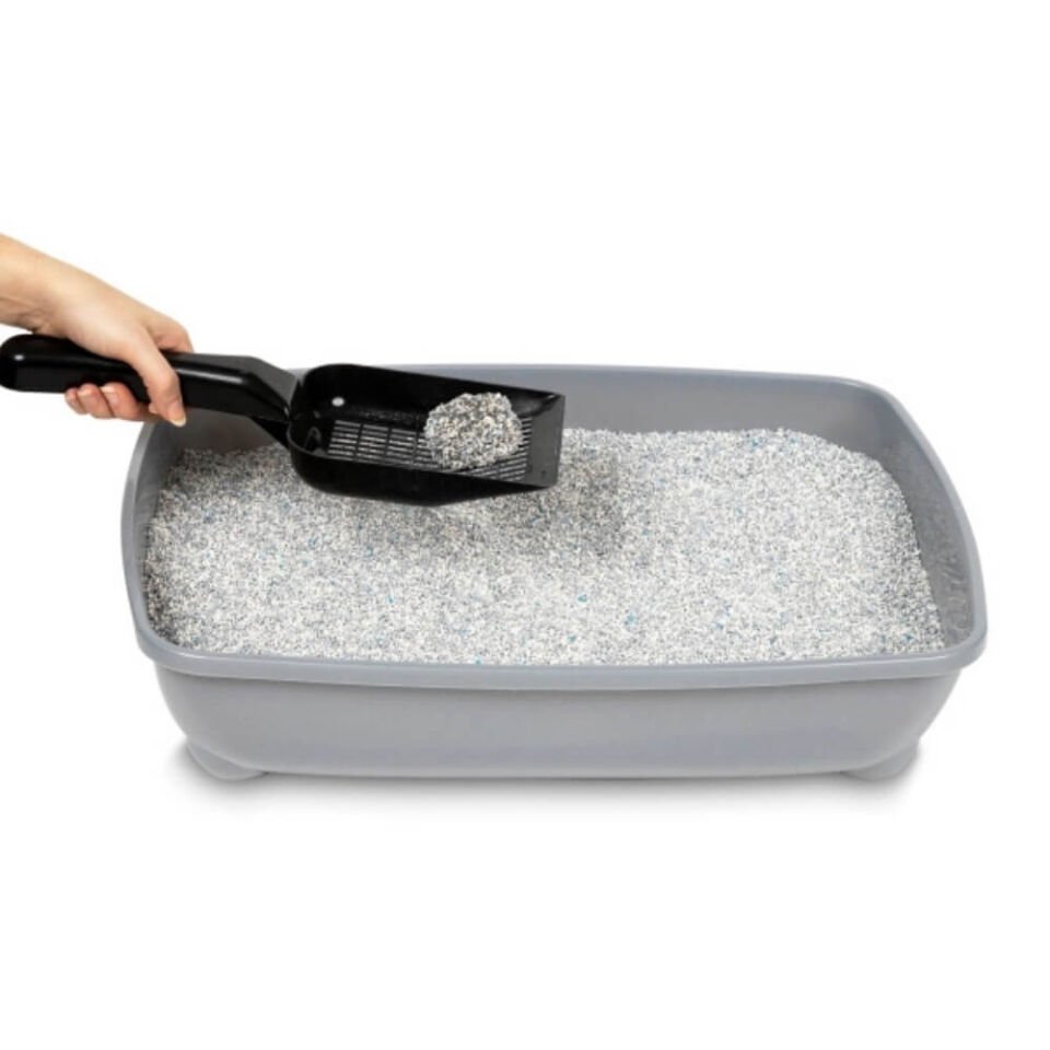 Ever Clean Spring Garden Çiçek Kokulu Topaklanan Kedi Kumu 10lt