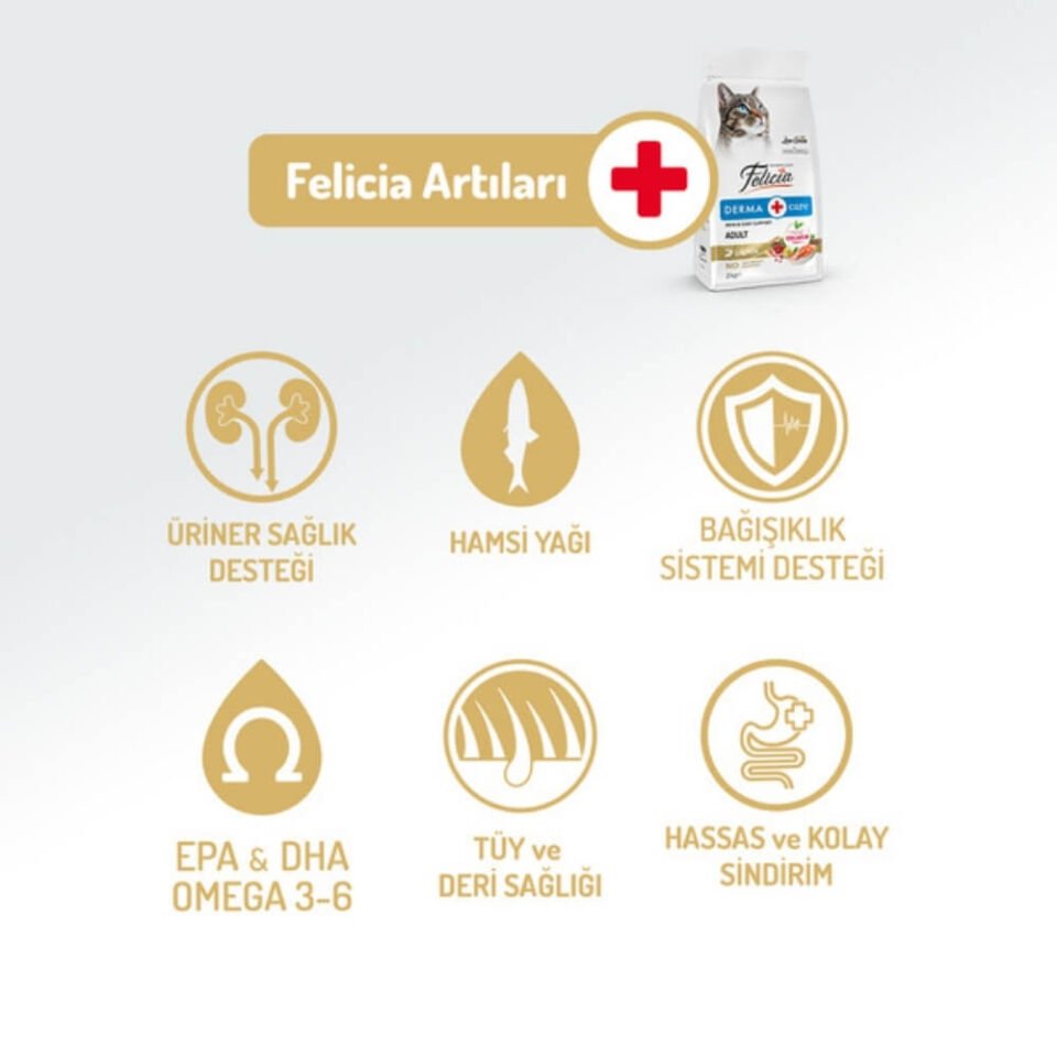 Felicia Hipoalerjenik Somonlu Düşük Tahıllı Yetişkin Kedi Maması 2kg