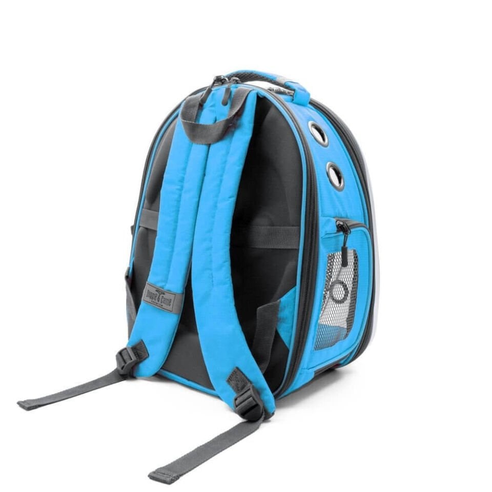 Cattie Yeni Fileli Taşıma Sırt Çantası Mavi 25x60x40CM