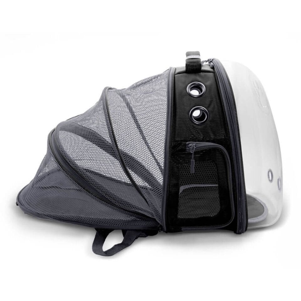 Cattie Yeni Fileli Taşıma Sırt Çantası Siyah 25x60x40CM