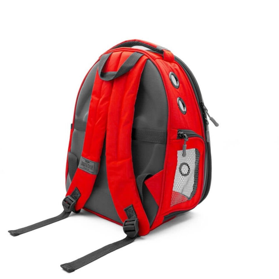 Cattie Yeni Şeffaf Taşıma Sırt Çantası Kırmızı 25x30x40CM
