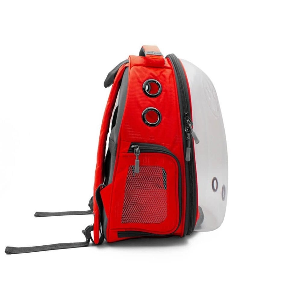 Cattie Yeni Şeffaf Taşıma Sırt Çantası Kırmızı 25x30x40CM