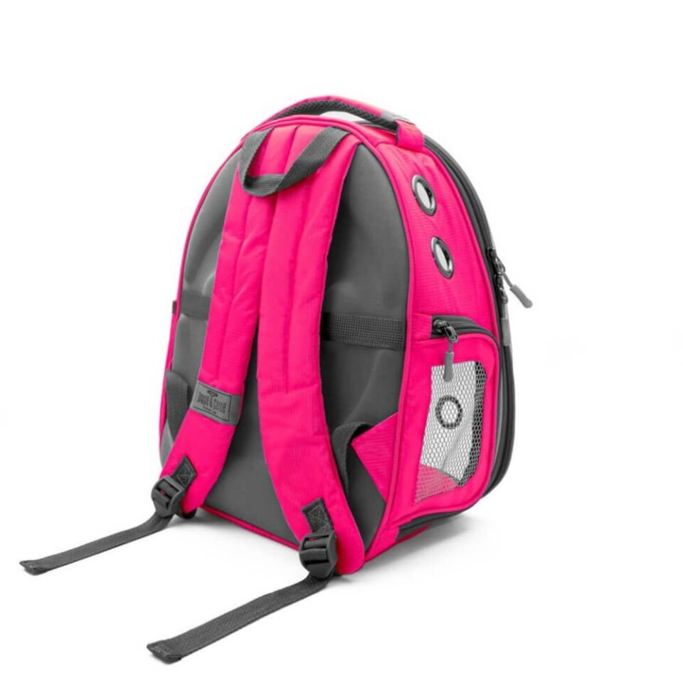 Cattie Yeni Şeffaf Taşıma Sırt Çantası Pembe 25x30x40CM