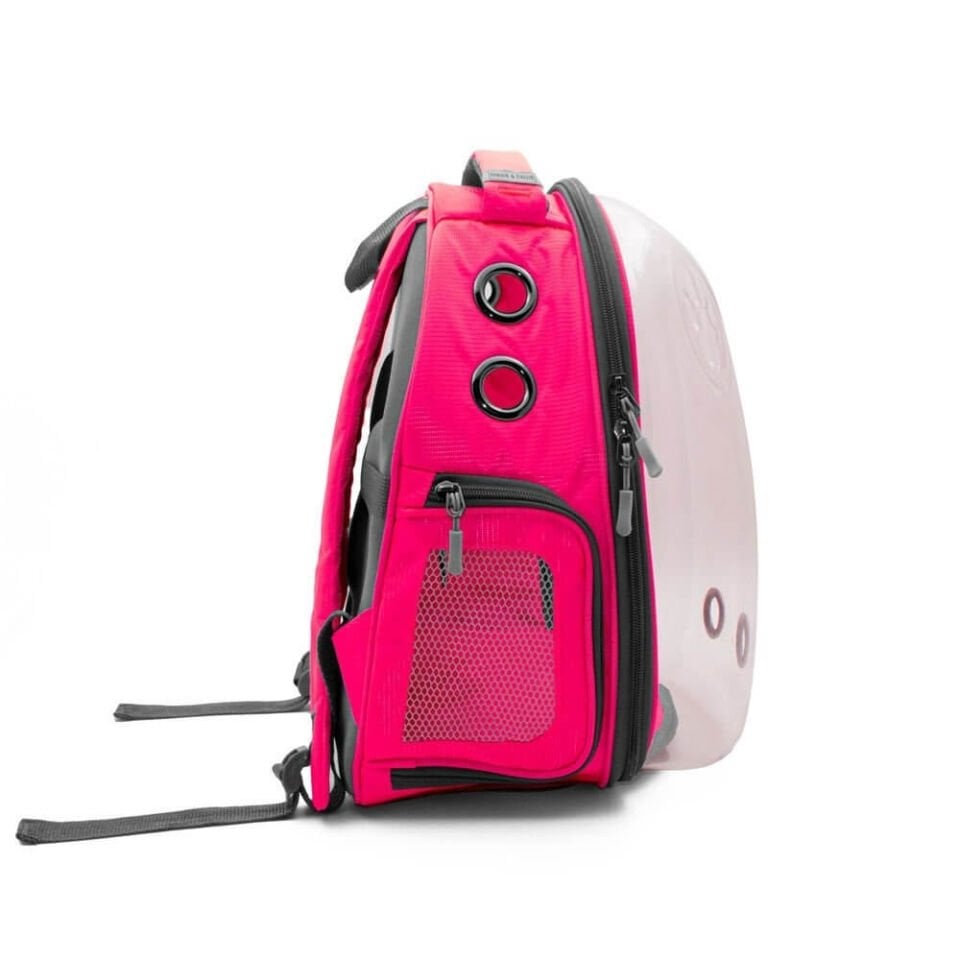 Cattie Yeni Şeffaf Taşıma Sırt Çantası Pembe 25x30x40CM