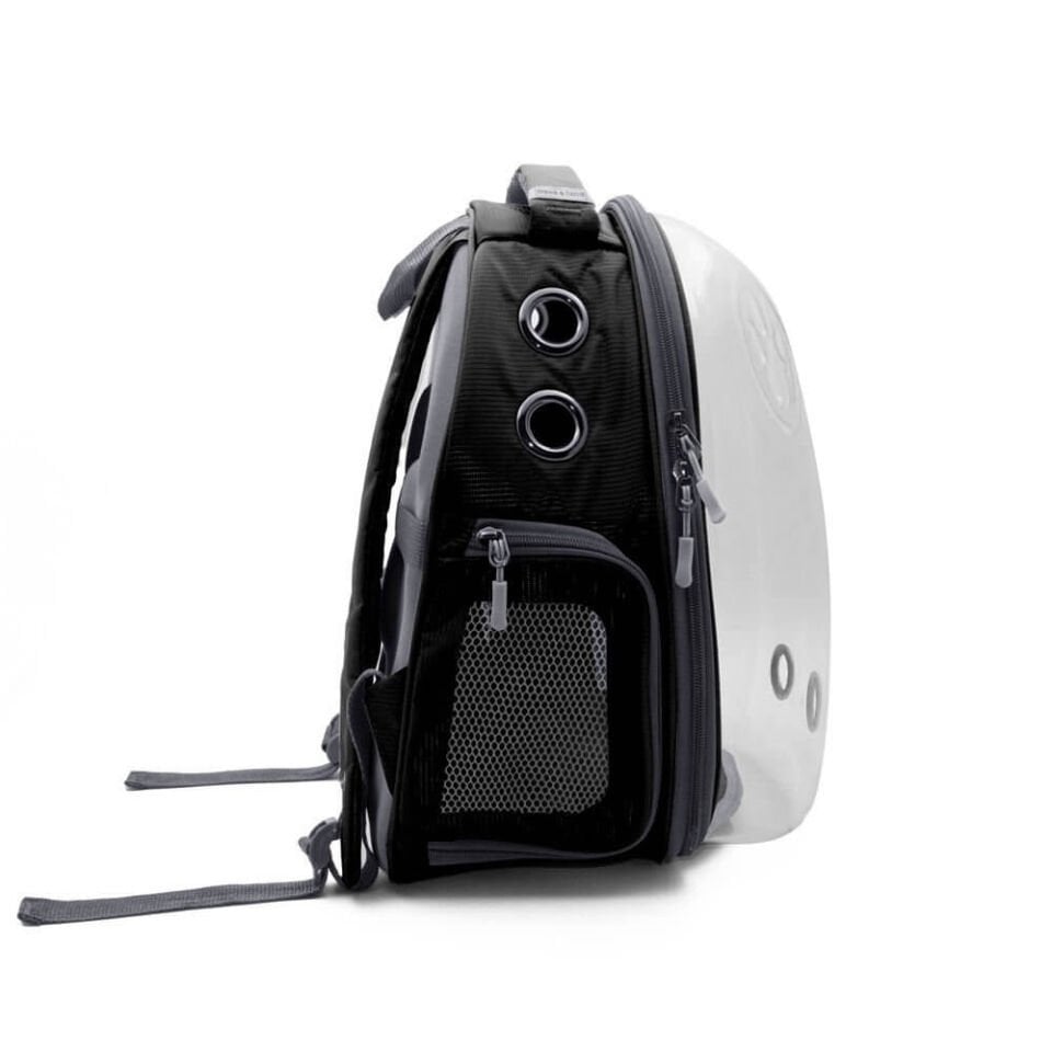 Cattie Yeni Şeffaf Taşıma Sırt Çantası Siyah 25x30x40CM