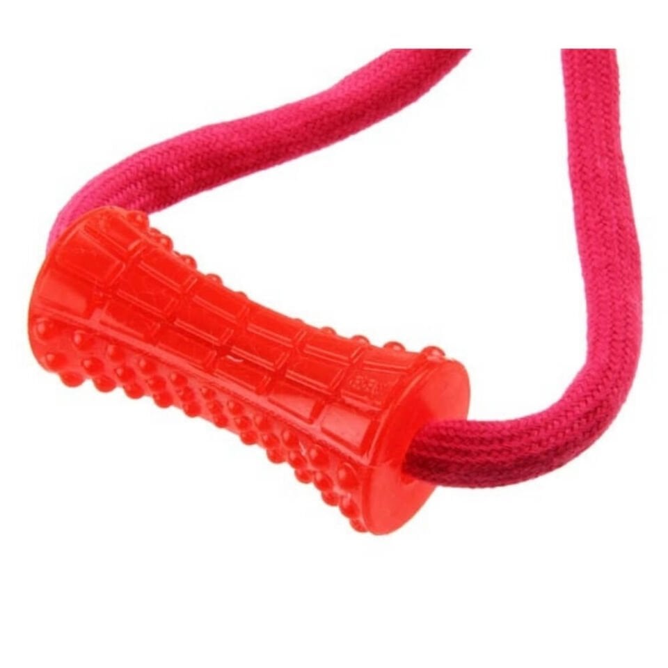 GiGwi Plush Friendz Sesli Köpek Diş Kaşıma Oyuncağı 32cm