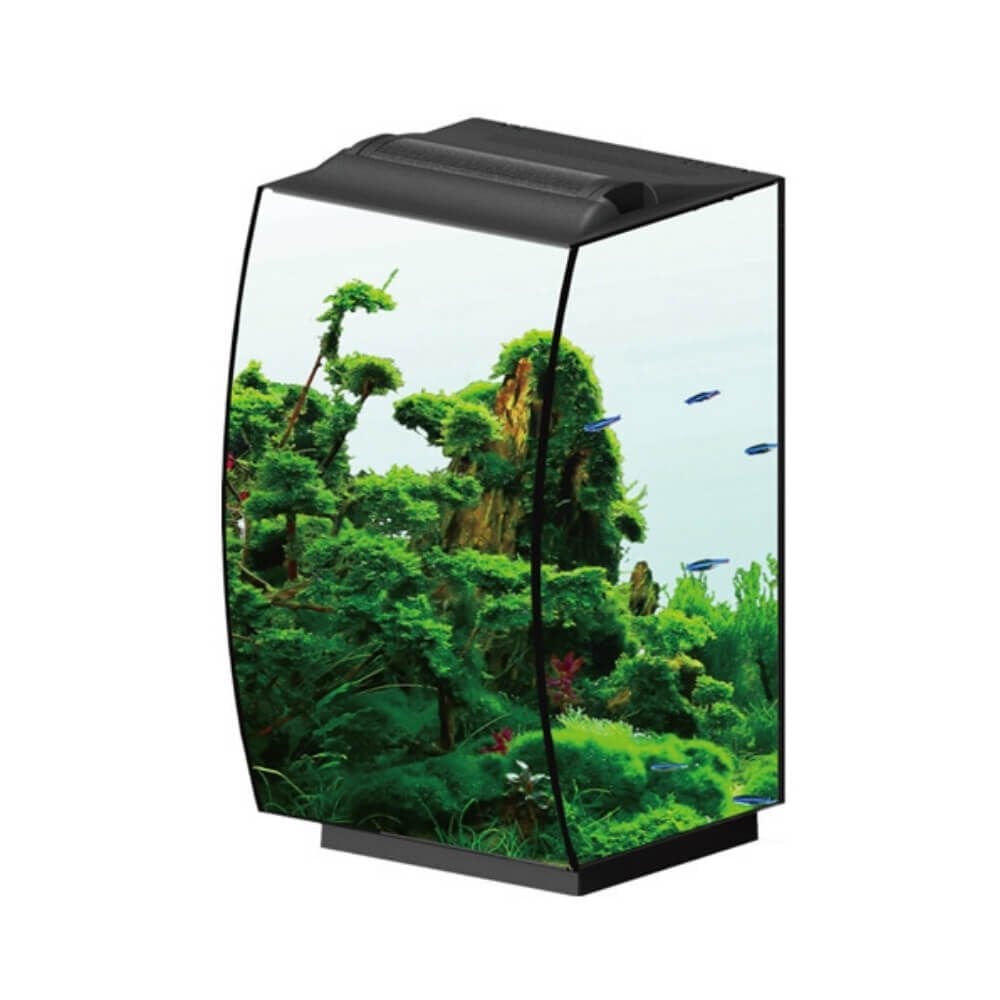 Anubias Molly 36 Nano Akvaryum Siyah 36 x 32 x 50 Cm